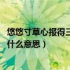 悠悠寸草心報得三春暉什么意思啊（悠悠寸草心,報得三春暉什么意思）