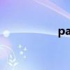 pal（關于pal的介紹）