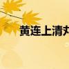 黃連上清丸（關于黃連上清丸的介紹）