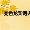 變色龍契訶夫（關于變色龍契訶夫的介紹）