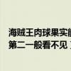 海賊王肉球果實能力（海賊王十大神級果實第一是肉球果實第二一般看不見）