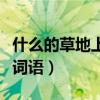 什么的草地上填詞語（“什么的草地”怎么填詞語）