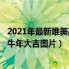 2021年最新唯美高清電腦桌面壁紙（2021新年壁紙2021年牛年大吉圖片）