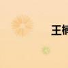 王楠（關于王楠的介紹）