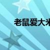 老鼠愛大米（關于老鼠愛大米的介紹）