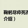 鞠躬盡瘁死而后已（關于鞠躬盡瘁死而后已的介紹）