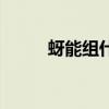 蚜能組什么詞語（蚜能組什么詞）