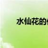 水仙花的傳說10字（水仙花的傳說）