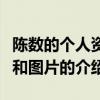 陳數的個人資料和圖片（關于陳數的個人資料和圖片的介紹）