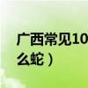 廣西常見10大毒蛇（廣西十大蛇類廣西有什么蛇）