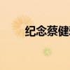紀念蔡健雅歌詞意思（紀念蔡健雅）
