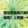 網絡歌曲兩只蝴蝶龐龍（龐龍最受歡迎歌曲top10：《兩只蝴蝶》上榜第一KTV必點）