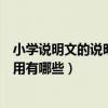 小學說明文的說明方法及作用（說明文的說明方法及表達作用有哪些）