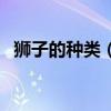 獅子的種類（世界八大獅子榜首已經滅絕）