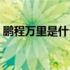 鵬程萬里是什么成語（鵬程萬里是什么意思）