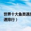 世界十大魚類速度排名（世界十大游泳最快的魚各大魚類時速排行）