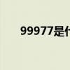 99977是什么意思（977是什么意思）