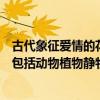 古代象征愛情的花草（古代象征美麗凄美愛情的物品有哪些包括動物植物靜物）
