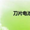 刀片電池（關于刀片電池的介紹）
