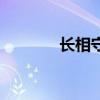 長相守（關于長相守的介紹）