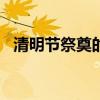 清明節祭奠的意義（清明節代表的意義!?）