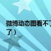 微博動態圖看不了怎么辦（怎么我的微博點不開大圖和動圖了）