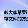 教大家蘋果iPhone11手機怎么清理垃圾和緩存文件的方法