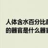 人體含水百分比最高的器官是哪兒（人體含水量百分比最高的器官是什么器官）
