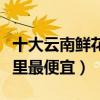 十大云南鮮花批發市場（云南花卉批發市場哪里最便宜）
