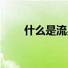 什么是流星雨簡介（什么是流星雨）
