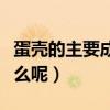 蛋殼的主要成分是什么（蛋殼的主要成分是什么呢）