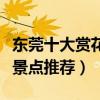 東莞十大賞花景點（東莞賞花好去處熱門賞花景點推薦）
