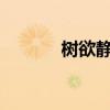 樹欲靜而風不止（是啥意思?）