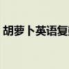 胡蘿卜英語復數（胡蘿卜的英文有復數的嗎）