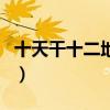 十天干十二地支（關于十天干十二地支的介紹）