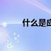 什么是應用文（應用文有何特點）