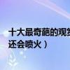 十大最奇葩的觀賞魚排行榜（世界奇葩觀賞魚大盤點有一種還會噴火）