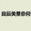 良辰美景奈何天賞心樂事誰家院（什么意思）