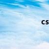 cst（關于cst的介紹）