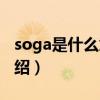 soga是什么意思（關于soga是什么意思的介紹）