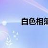白色相簿（關于白色相簿的介紹）