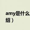 amy是什么意思（關于amy是什么意思的介紹）