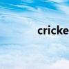 cricket（關于cricket的介紹）