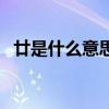 廿是什么意思（關于廿是什么意思的介紹）