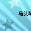 馬頭琴（關于馬頭琴的介紹）