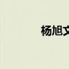 楊旭文（關于楊旭文的介紹）