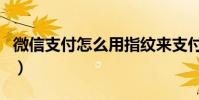 微信支付怎么用指紋來支付(微信支付怎么用)