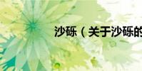 沙礫(關于沙礫的介紹)