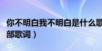 你不明白我不明白是什么歌(不是我不明白全部歌詞)