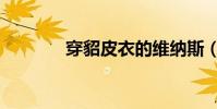 穿貂皮衣的維納斯(怎么樣)